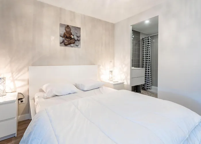 Superbe F2 Spacieux - Raphael 公寓 *